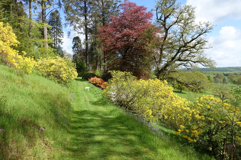 Trebartha Estate Garden and Country Garden at Lemarne